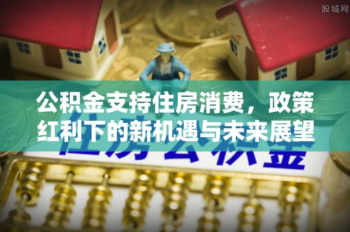 元阳公积金支持住房消费，政策红利下的新机遇与未来展望